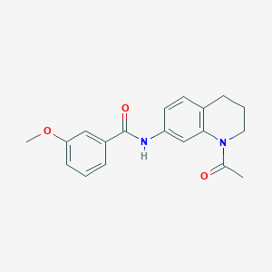 molecular formula C19H20N2O3 B2648710 N-(1-acetyl-1,2,3,4-tetrahydroquinolin-7-yl)-3-methoxybenzamide CAS No. 898465-00-4