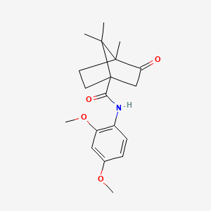 molecular formula C19H25NO4 B2649183 N-(2,4-dimethoxyphenyl)-4,7,7-trimethyl-3-oxobicyclo[2.2.1]heptane-1-carboxamide CAS No. 835893-16-8