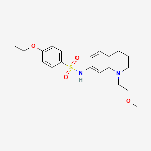 4-ethoxy-N-(1-(2-methoxyethyl)-1,2,3,4-tetrahydroquinolin-7-yl)benzenesulfonamide