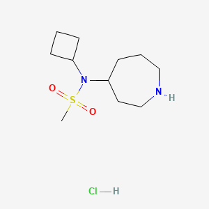 molecular formula C11H23ClN2O2S B2651382 N-(azepan-4-yl)-N-cyclobutylmethanesulfonamide hydrochloride CAS No. 1803590-13-7