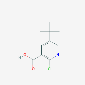 5-Tert-butyl-2-chloropyridine-3-carboxylic acid