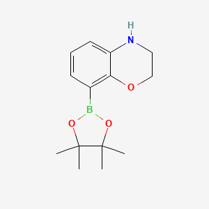 8-(Tetramethyl-1,3,2-dioxaborolan-2-yl)-3,4-dihydro-2H-1,4-benzoxazine