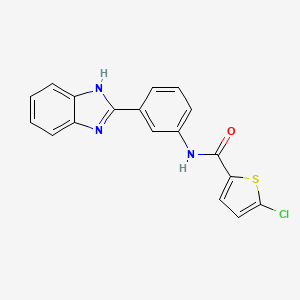molecular formula C18H12ClN3OS B2653630 N-[3-(1H-1,3-benzodiazol-2-yl)phenyl]-5-chlorothiophene-2-carboxamide CAS No. 477493-37-1
