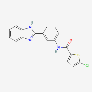 molecular formula C18H12ClN3OS B2653630 N-[3-(1H-benzimidazol-2-yl)phenyl]-5-chlorothiophene-2-carboxamide CAS No. 477493-37-1