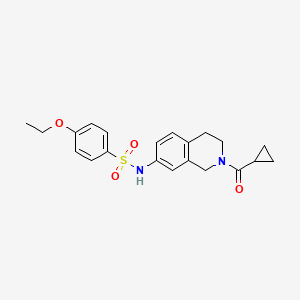 molecular formula C21H24N2O4S B2655663 N-(2-cyclopropanecarbonyl-1,2,3,4-tetrahydroisoquinolin-7-yl)-4-ethoxybenzene-1-sulfonamide CAS No. 955714-74-6