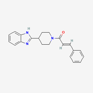 molecular formula C21H21N3O B2656140 (E)-1-[4-(1H-benzimidazol-2-yl)piperidin-1-yl]-3-phenylprop-2-en-1-one CAS No. 836691-58-8