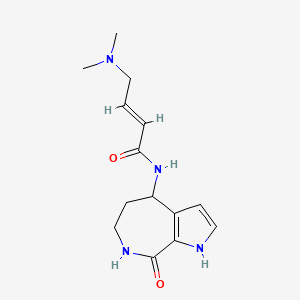 molecular formula C14H20N4O2 B2657032 (E)-4-(Dimethylamino)-N-(8-oxo-4,5,6,7-tetrahydro-1H-pyrrolo[2,3-c]azepin-4-yl)but-2-enamide CAS No. 2411332-11-9