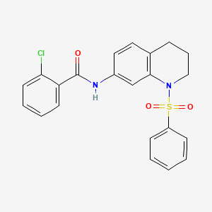 molecular formula C22H19ClN2O3S B2658200 N-[1-(benzenesulfonyl)-1,2,3,4-tetrahydroquinolin-7-yl]-2-chlorobenzamide CAS No. 1005299-07-9