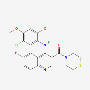 molecular formula C22H21ClFN3O3S B2658809 N-(5-CHLORO-2,4-DIMETHOXYPHENYL)-6-FLUORO-3-(THIOMORPHOLINE-4-CARBONYL)QUINOLIN-4-AMINE CAS No. 1359315-59-5