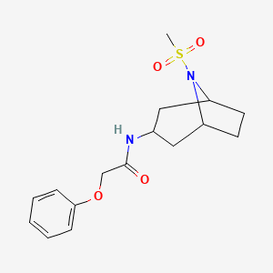 molecular formula C16H22N2O4S B2660002 N-(8-(methylsulfonyl)-8-azabicyclo[3.2.1]octan-3-yl)-2-phenoxyacetamide CAS No. 2034312-12-2