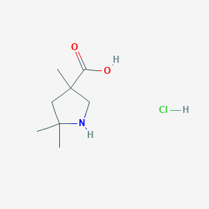 3,5,5-Trimethylpyrrolidine-3-carboxylic acid;hydrochloride