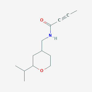 molecular formula C13H21NO2 B2661438 N-[(2-Propan-2-yloxan-4-yl)methyl]but-2-ynamide CAS No. 2411315-44-9
