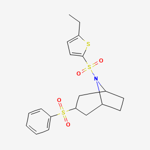 (1R,5S)-8-((5-ethylthiophen-2-yl)sulfonyl)-3-(phenylsulfonyl)-8-azabicyclo[3.2.1]octane