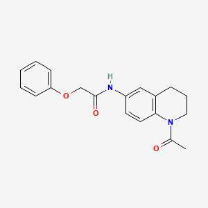 molecular formula C19H20N2O3 B2662146 N-(1-acetyl-1,2,3,4-tetrahydroquinolin-6-yl)-2-phenoxyacetamide CAS No. 941960-00-5