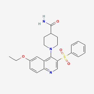 molecular formula C23H25N3O4S B2662173 1-[3-(Benzenesulfonyl)-6-ethoxyquinolin-4-yl]piperidine-4-carboxamide CAS No. 866811-84-9