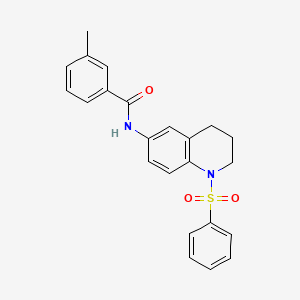 molecular formula C23H22N2O3S B2662631 N-[1-(benzenesulfonyl)-1,2,3,4-tetrahydroquinolin-6-yl]-3-methylbenzamide CAS No. 942006-48-6