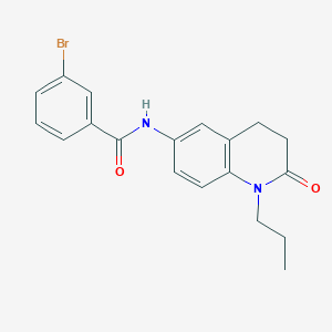 3-bromo-N-(2-oxo-1-propyl-1,2,3,4-tetrahydroquinolin-6-yl)benzamide