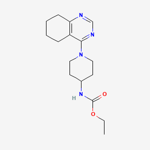 molecular formula C16H24N4O2 B2663821 ethyl N-[1-(5,6,7,8-tetrahydroquinazolin-4-yl)piperidin-4-yl]carbamate CAS No. 1904015-48-0