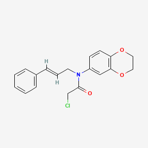 2-chloro-N-(2,3-dihydro-1,4-benzodioxin-6-yl)-N-[(E)-3-phenylprop-2-enyl]acetamide