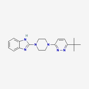 2-[4-(6-Tert-butylpyridazin-3-yl)piperazin-1-yl]-1H-benzimidazole