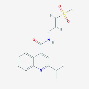 N-[(E)-3-Methylsulfonylprop-2-enyl]-2-propan-2-ylquinoline-4-carboxamide