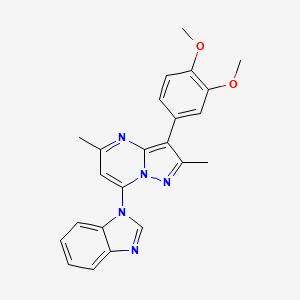 7-(1H-benzo[d]imidazol-1-yl)-3-(3,4-dimethoxyphenyl)-2,5-dimethylpyrazolo[1,5-a]pyrimidine