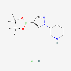 molecular formula C14H25BClN3O2 B2670573 3-[4-(Tetramethyl-1,3,2-dioxaborolan-2-yl)pyrazol-1-yl]piperidine hydrochloride CAS No. 2377587-45-4