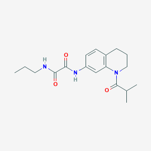 N1-(1-isobutyryl-1,2,3,4-tetrahydroquinolin-7-yl)-N2-propyloxalamide