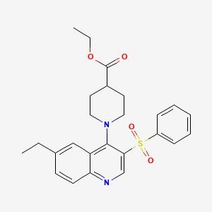 molecular formula C25H28N2O4S B2674145 Ethyl 1-[3-(benzenesulfonyl)-6-ethylquinolin-4-yl]piperidine-4-carboxylate CAS No. 866844-12-4