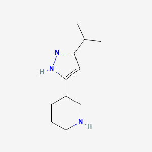 3-[3-(propan-2-yl)-1H-pyrazol-5-yl]piperidine