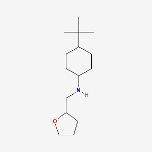 4-tert-butyl-N-[(oxolan-2-yl)methyl]cyclohexan-1-amine