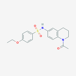 molecular formula C19H22N2O4S B2678348 N-(1-acetyl-1,2,3,4-tetrahydroquinolin-6-yl)-4-ethoxybenzene-1-sulfonamide CAS No. 1005293-00-4