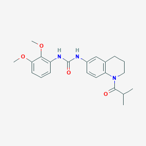 1-(2,3-Dimethoxyphenyl)-3-(1-isobutyryl-1,2,3,4-tetrahydroquinolin-6-yl)urea