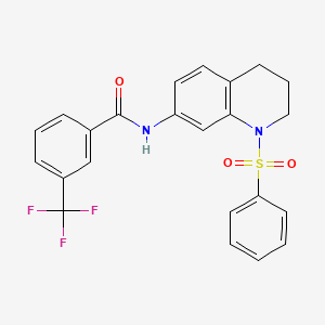 molecular formula C23H19F3N2O3S B2685691 N-[1-(benzenesulfonyl)-1,2,3,4-tetrahydroquinolin-7-yl]-3-(trifluoromethyl)benzamide CAS No. 1005301-43-8
