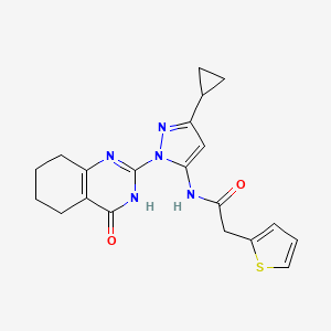 N-(3-cyclopropyl-1-(4-oxo-3,4,5,6,7,8-hexahydroquinazolin-2-yl)-1H-pyrazol-5-yl)-2-(thiophen-2-yl)acetamide