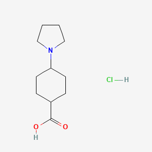 B2690930 trans-4-(1-Pyrrolidinyl)cyclohexanecarboxylate hydrochloride CAS No. 2379986-71-5