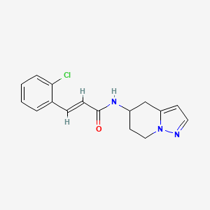 (E)-3-(2-chlorophenyl)-N-(4,5,6,7-tetrahydropyrazolo[1,5-a]pyridin-5-yl)acrylamide