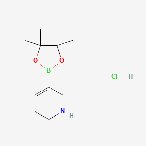 molecular formula C11H21BClNO2 B2696889 5-(4,4,5,5-Tetramethyl-1,3,2-dioxaborolan-2-yl)-1,2,3,6-tetrahydropyridine hydrochloride CAS No. 2101498-93-3