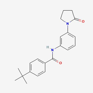 molecular formula C21H24N2O2 B2698422 4-tert-butyl-N-[3-(2-oxopyrrolidin-1-yl)phenyl]benzamide CAS No. 923103-70-2