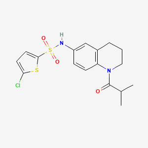 molecular formula C17H19ClN2O3S2 B2698502 5-chloro-N-[1-(2-methylpropanoyl)-1,2,3,4-tetrahydroquinolin-6-yl]thiophene-2-sulfonamide CAS No. 1005293-49-1