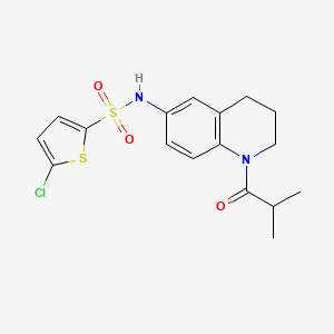 molecular formula C17H19ClN2O3S2 B2698502 5-chloro-N-(1-isobutyryl-1,2,3,4-tetrahydroquinolin-6-yl)thiophene-2-sulfonamide CAS No. 1005293-49-1
