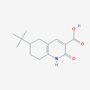 6-tert-butyl-2-oxo-5,6,7,8-tetrahydro-1H-quinoline-3-carboxylic acid