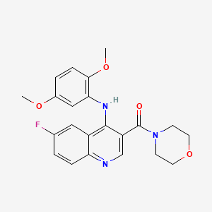 molecular formula C22H22FN3O4 B2699352 N-(2,5-DIMETHOXYPHENYL)-6-FLUORO-3-(MORPHOLINE-4-CARBONYL)QUINOLIN-4-AMINE CAS No. 1358886-27-7