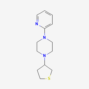 molecular formula C13H19N3S B2699723 1-(pyridin-2-yl)-4-(thiolan-3-yl)piperazine CAS No. 2034515-56-3