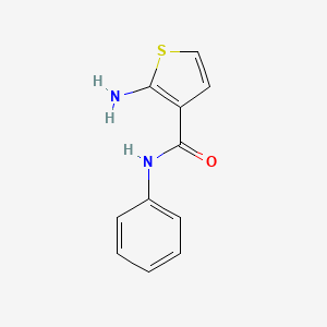 2-amino-N-phenylthiophene-3-carboxamide