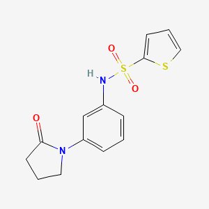 molecular formula C14H14N2O3S2 B2701921 N-[3-(2-oxopyrrolidin-1-yl)phenyl]thiophene-2-sulfonamide CAS No. 941872-09-9