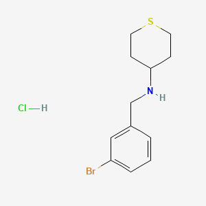 molecular formula C12H17BrClNS B2704105 N-[(3-bromophenyl)methyl]thian-4-amine hydrochloride CAS No. 1803566-42-8