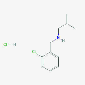 molecular formula C11H17Cl2N B2705084 N-(2-Chlorobenzyl)-2-methyl-1-propanamine hydrochloride CAS No. 1050076-04-4; 893575-69-4