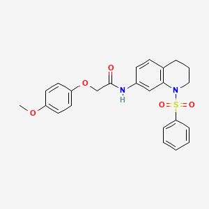 molecular formula C24H24N2O5S B2706125 N-[1-(benzenesulfonyl)-1,2,3,4-tetrahydroquinolin-7-yl]-2-(4-methoxyphenoxy)acetamide CAS No. 1005301-91-6