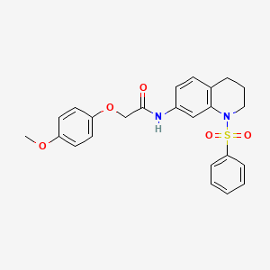 2-(4-methoxyphenoxy)-N-(1-(phenylsulfonyl)-1,2,3,4-tetrahydroquinolin-7-yl)acetamide